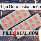 Tige Dure Instantanée 27
